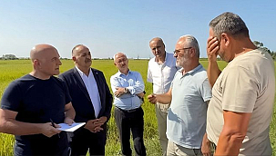 Bu Şartlarda Yeni Nesil Üretim Yapmaz