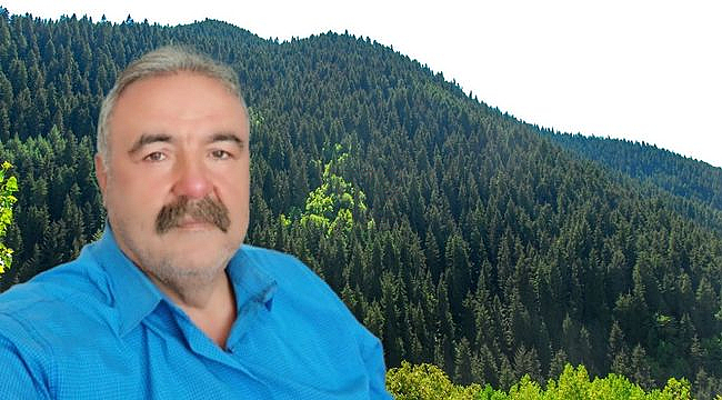 Orman Politikamızda Köklü Bir Değişim Şart