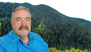 Orman Politikamızda Köklü Bir Değişim Şart