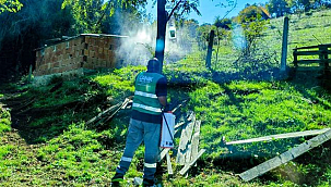 Canik'te Kahverengi Kokarca Böceğine İlaçla Müdahale