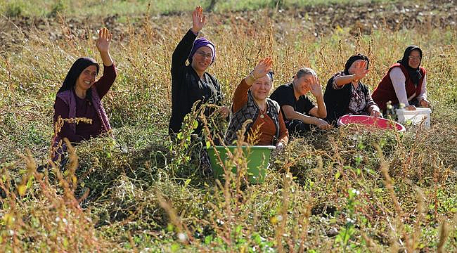 Büyükşehir Belediyesinin Desteğiyle Kırsal Kalkınma Güçleniyor
