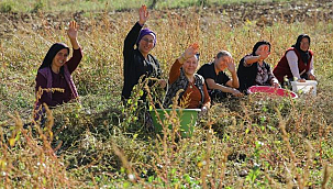 Büyükşehir Belediyesinin Desteğiyle Kırsal Kalkınma Güçleniyor