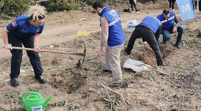 Canik'te Fidanlar Toprakla Buluştu