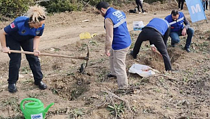 Canik'te Fidanlar Toprakla Buluştu