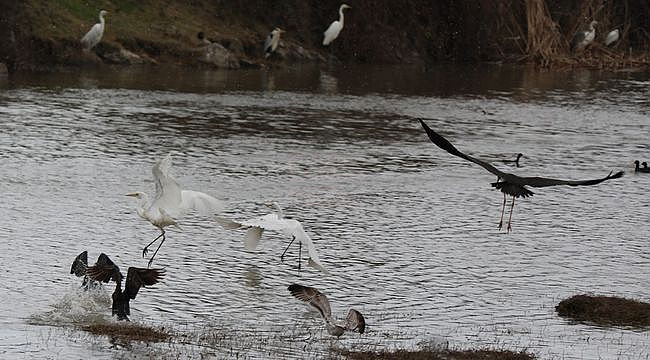 Kuş Cenneti'nde Sonbahar Göz Kamaştırıyor