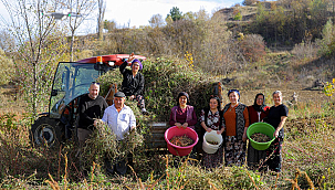 Tarımsal Üretimle Sosyal Yardımlaşmayı Aynı Noktada Buluşturdu