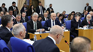 Vatandaş Kemer Sıkarken BDDK Araç Saltanatında!