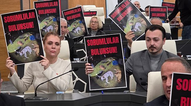CHP'den Köpek Ölümleri ile İlgili Meclise Soru Önergesi