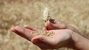Ulusoy Un Makarna Sektöründe Büyümesini Sürdürüyor