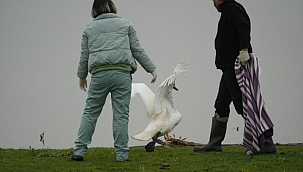 Yaban Hayvanları Şefkatli Ellerle Yeniden Hayat Buluyor