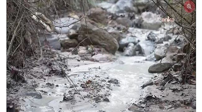 Aykırı Çed Raporları Toplumu ve Çevreyi Korumuyor