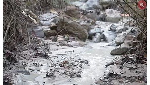 Aykırı Çed Raporları Toplumu ve Çevreyi Korumuyor