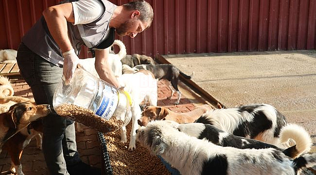 Canik Belediyesi Can Dostlara Kucak Açıyor