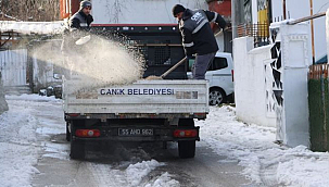Canik'te Solüsyon ve Tuzlama Çalışmaları Aralıksız Sürüyor