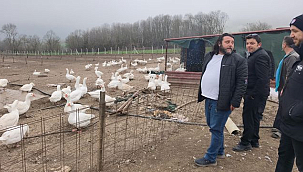 Kavak'ta Kaz Yetiştiricilerine Uygulamalı Eğitim