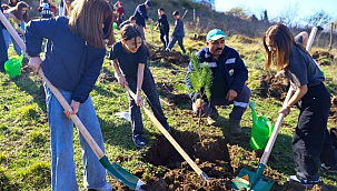 İlkadım'da Fidanlar Toprakla Buluştu