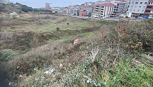 Samsun'da Otomobil Vakıfların Arazisine Uçtu!