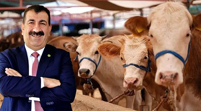 Kurbanlık Satışlarında En Önemli Görev Yerel Yönetimlerde…