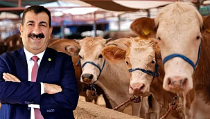 Kurbanlık Satışlarında En Önemli Görev Yerel Yönetimlerde…