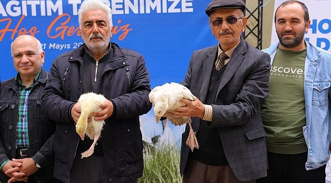 Büyükşehir'den Üreticilere Kaz Desteği