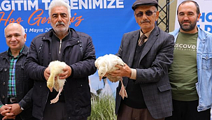 Büyükşehir'den Üreticilere Kaz Desteği