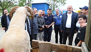 Canik Belediyesi Kurban Pazarı'na Büyük Rağbet