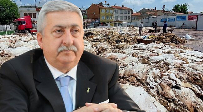 Derilerin İsraf Edilmesi Ülke Ekonomisi İçin Büyük Kayıp