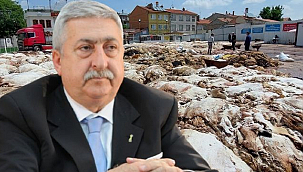 Derilerin İsraf Edilmesi Ülke Ekonomisi İçin Büyük Kayıp