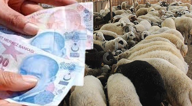 Yüksek Nakit Dolaşımı Sahte Para Riskini Artırıyor