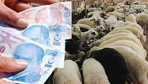 Yüksek Nakit Dolaşımı Sahte Para Riskini Artırıyor