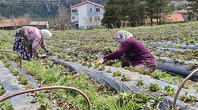 Büyükşehir'den Çiftçiye Destek!
