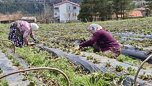 Büyükşehir'den Çiftçiye Destek!