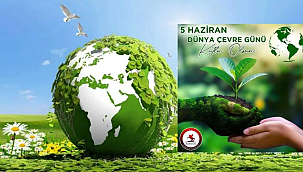 Vali Tavlı'dan Çevre Mesajı
