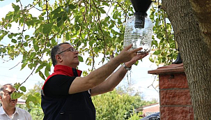 Kahverengi Kokarcaya Karşı Mücadele Kararlılıkla Sürüyor