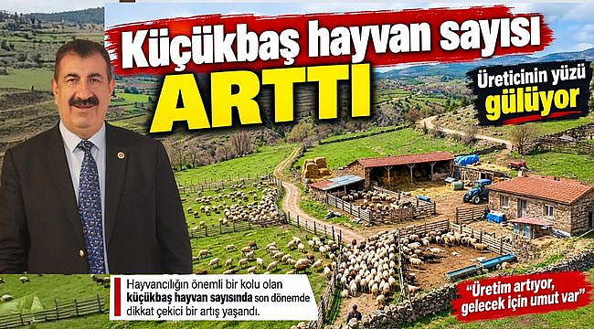 Türkiye'nin Hayvan Varlığı Artıyor, Üretime Devam!