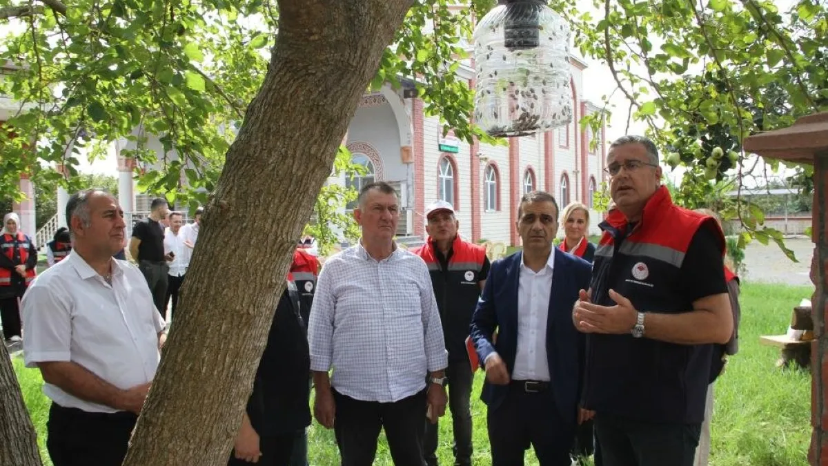 Samsun’da kahverengi kokarca seferberliği: Binlerce tuzak devrede